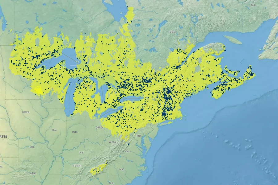 Lonicera canadensis Native Range