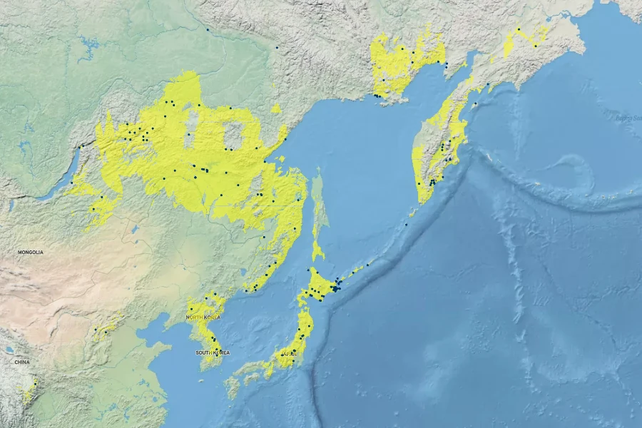 Lonicera edulis Native Range