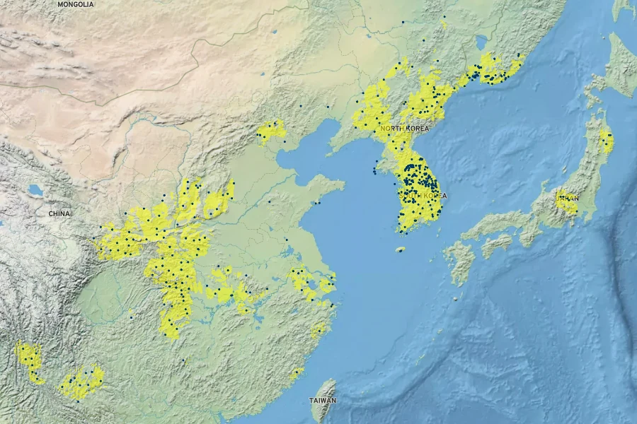 Lonicera maackii Native Range