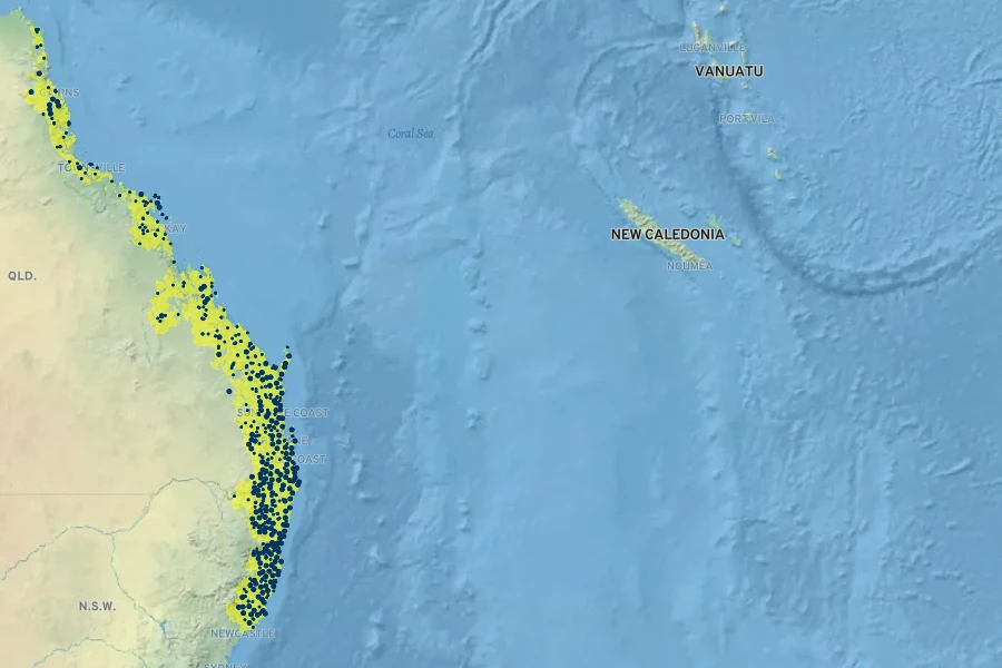 Lophostemon confertus Native Range