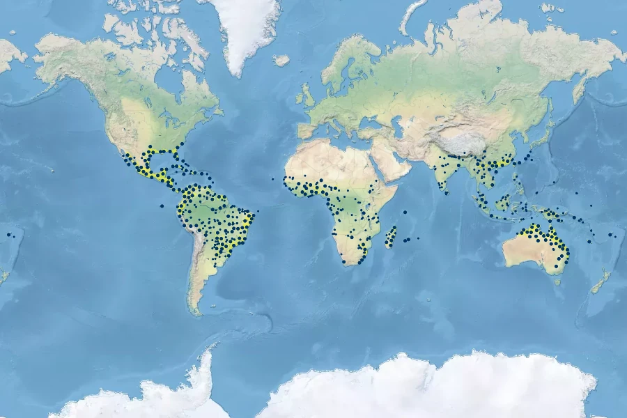 Ludwigia octovalvis Native Range