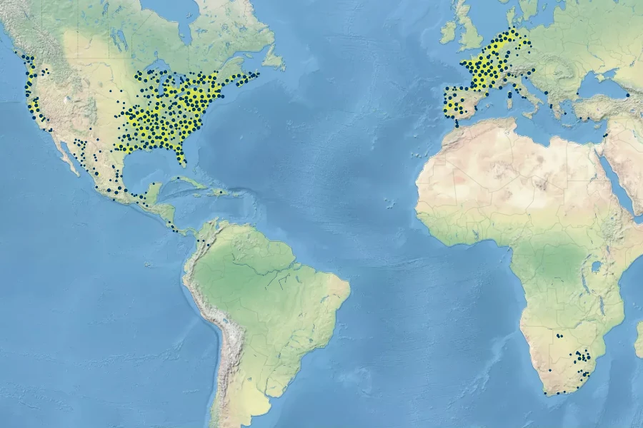 Ludwigia palustris Native Range