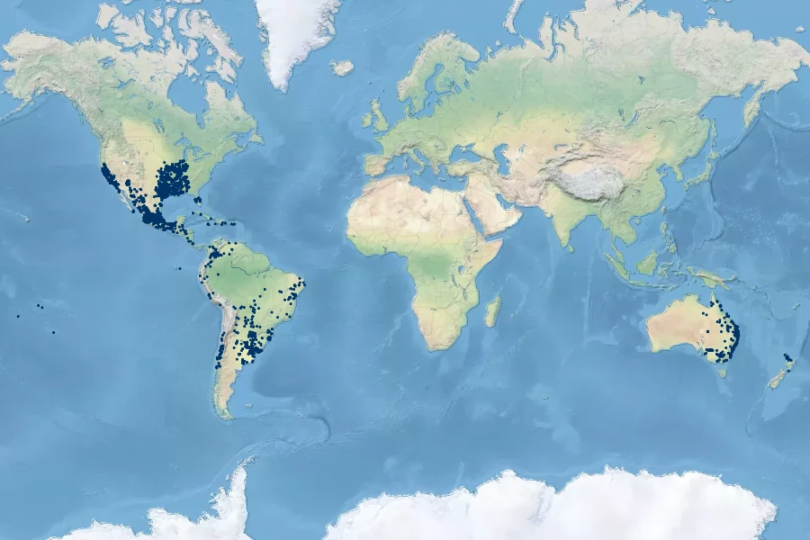 Ludwigia peploides Native Range