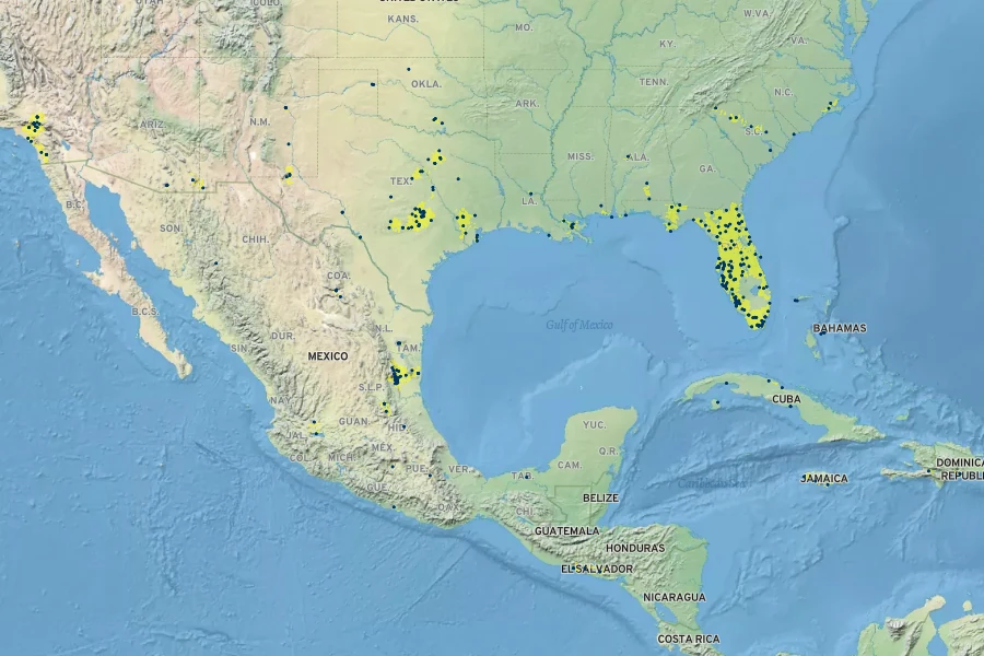 Ludwigia repens Native Range
