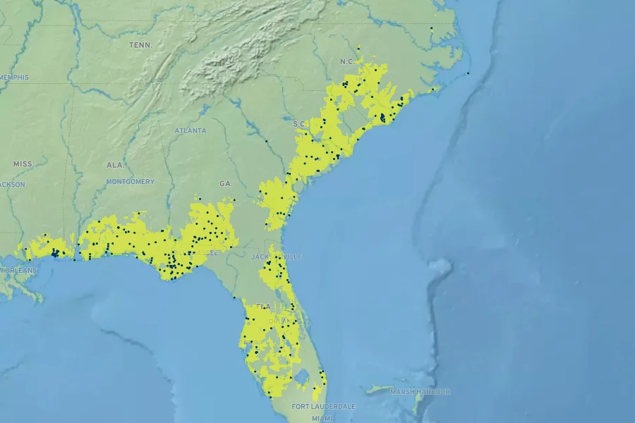 Ludwigia virgata Native Range