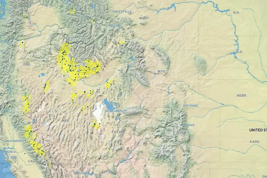 Lupinus arbustus subsp. calcaratus Native Range