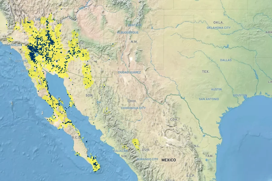 Lupinus arizonicus Native Range