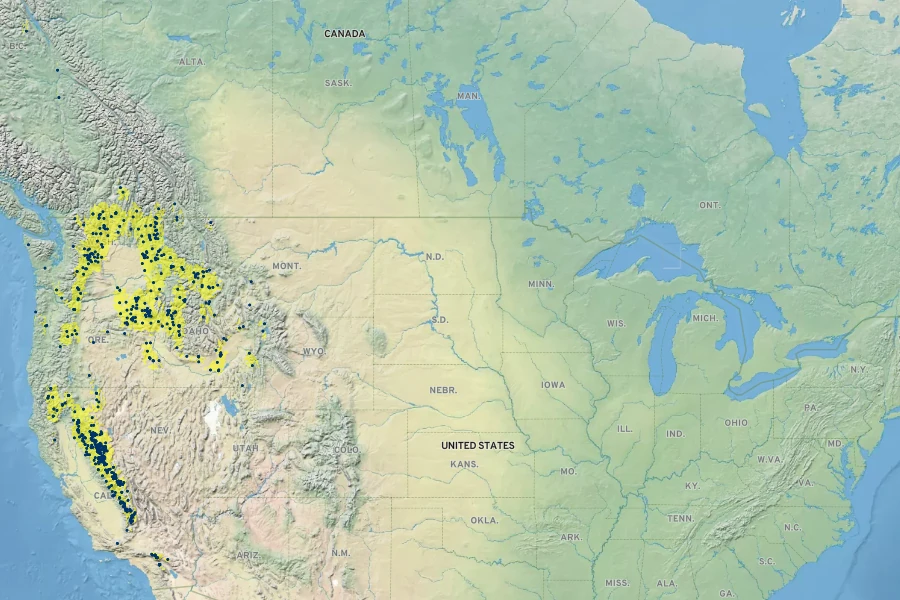 Lupinus burkei Native Range