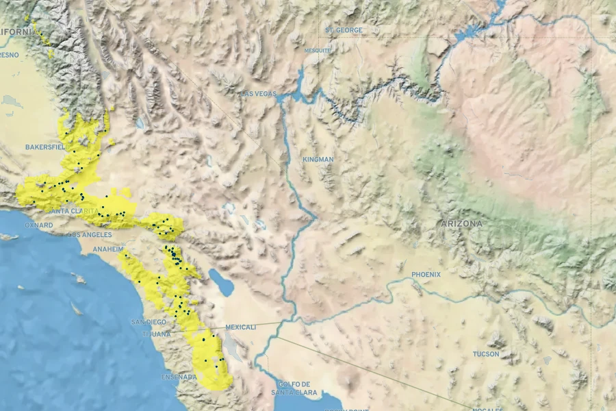 Lupinus excubitus var. austromontanus Native Range