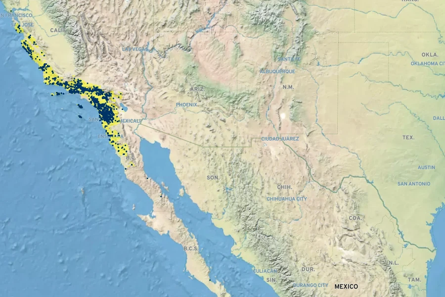 Lupinus hirsutissimus Native Range