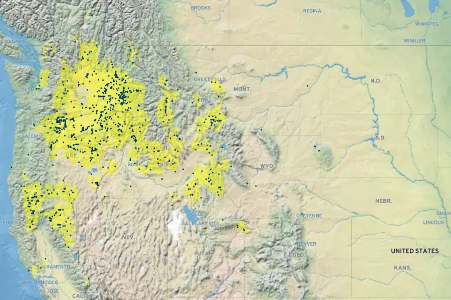 Lupinus leucophyllus Native Range