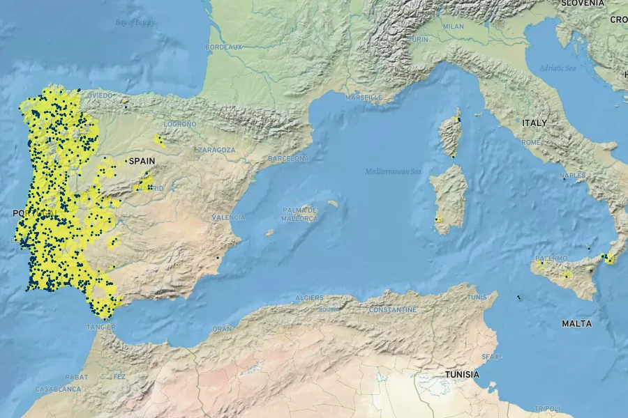 Lupinus luteus Native Range