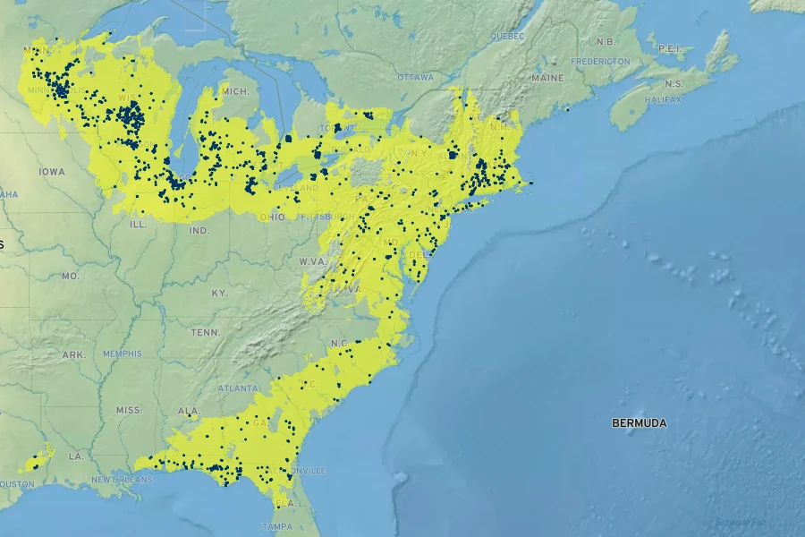Lupinus perennis Native Range