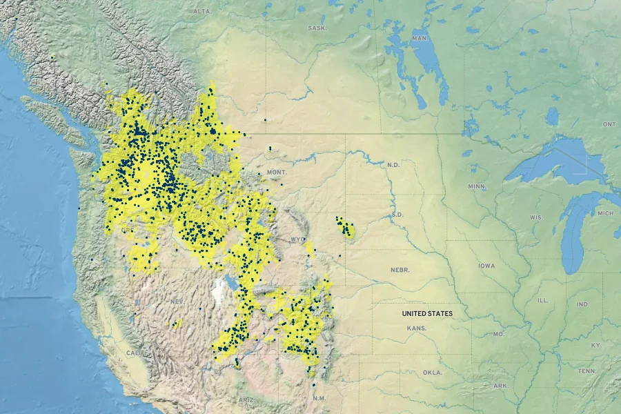 Lupinus sericeus Native Range