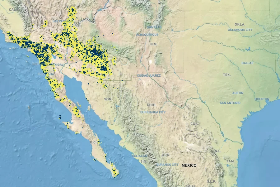 Lupinus sparsiflorus Native Range