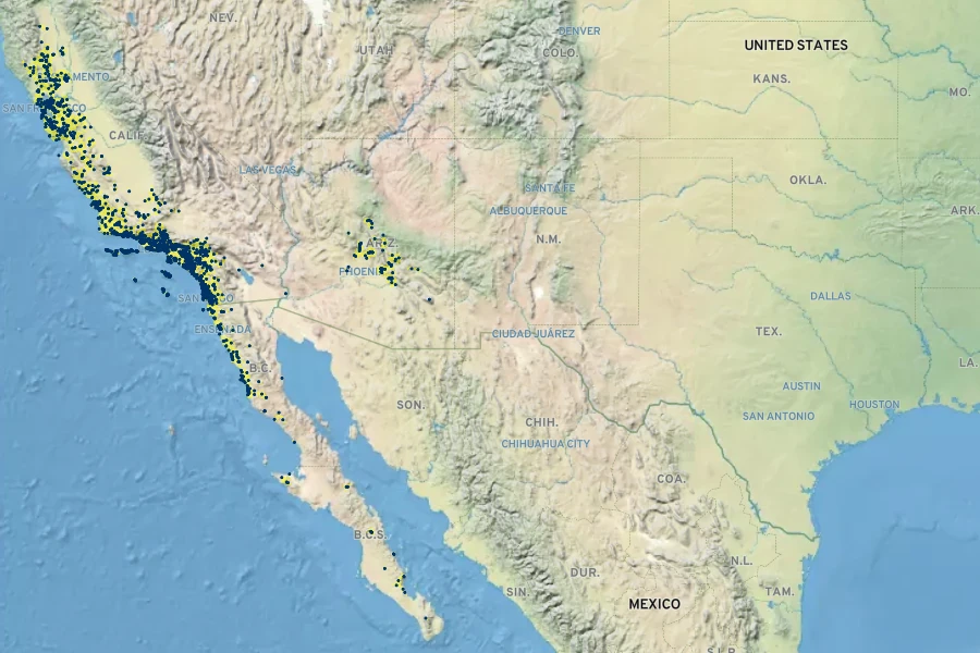 Lupinus succulentus Native Range