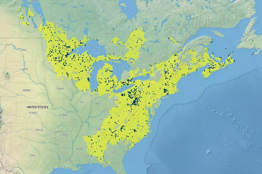 Luzula acuminata Native Range