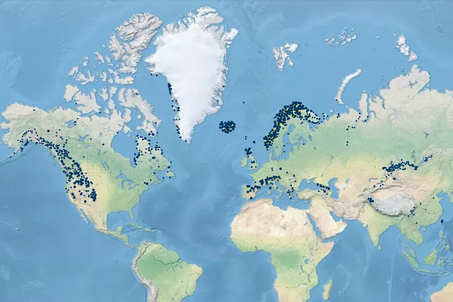 Luzula spicata Native Range