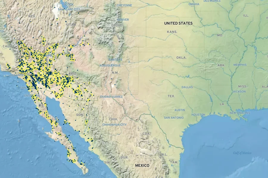 Lycium andersonii Native Range