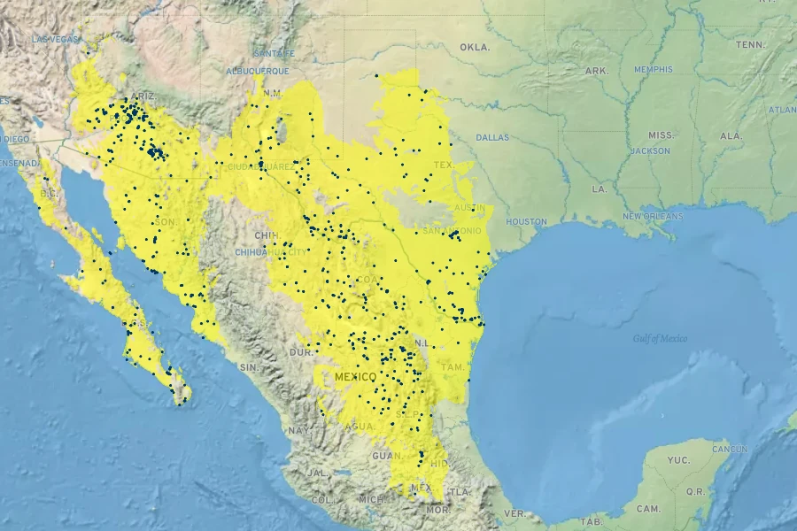 Lycium berlandieri Native Range