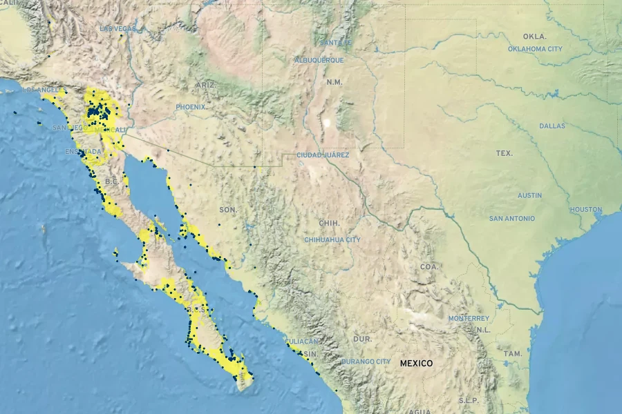Lycium brevipes Native Range