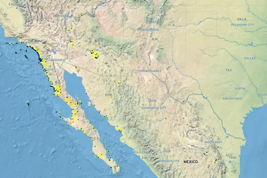 Lycium californicum Native Range