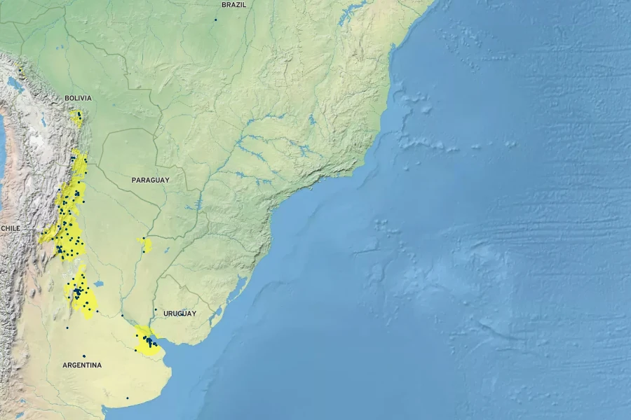 Lycium cestroides Native Range