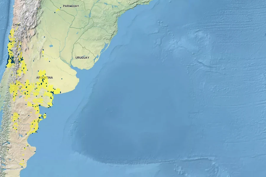 Lycium chilense Native Range