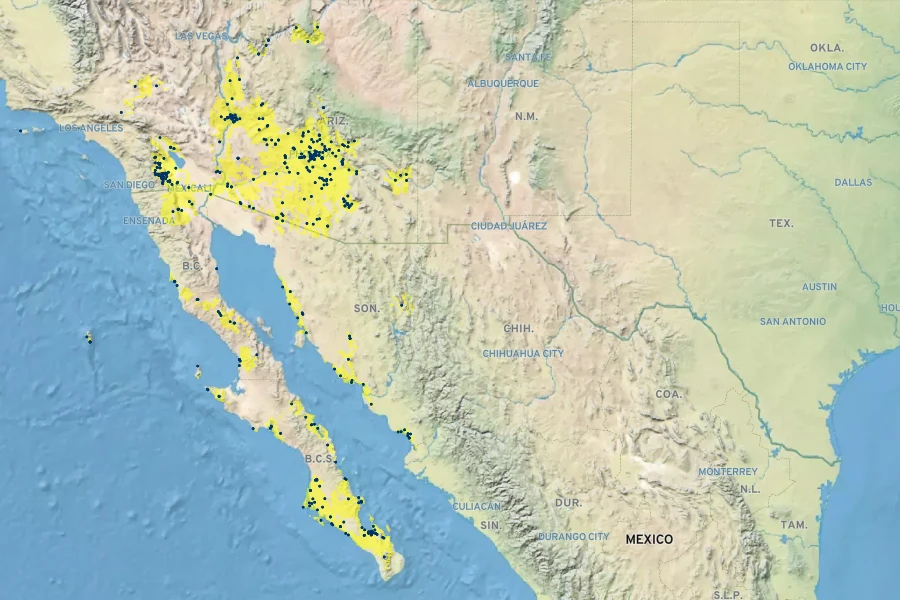 Lycium fremontii Native Range