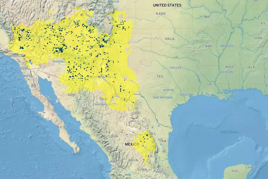 Lycium pallidum Native Range