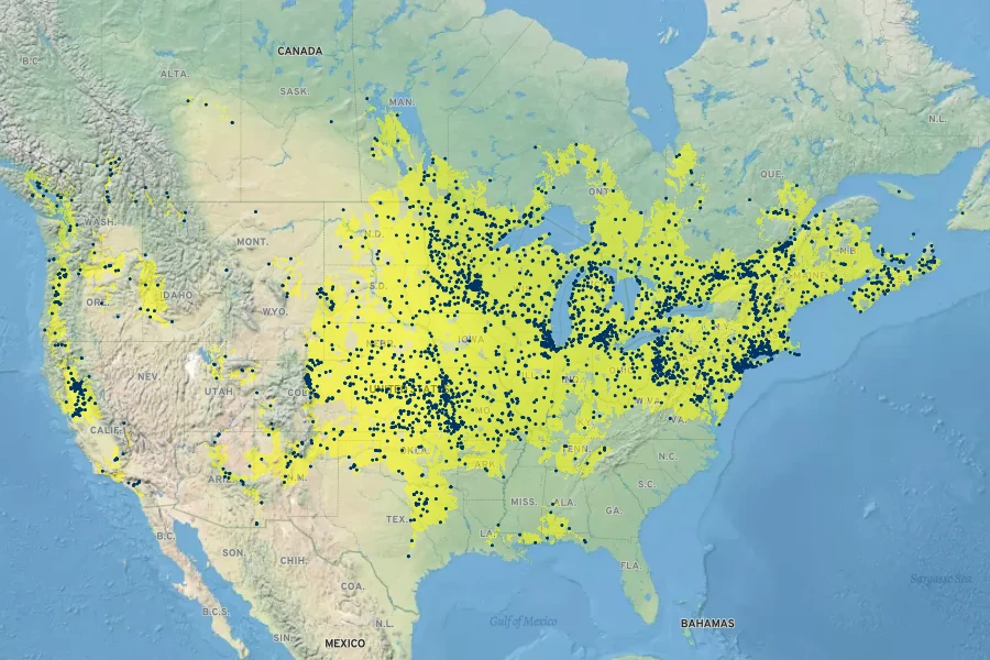 Lycopus americanus Native Range