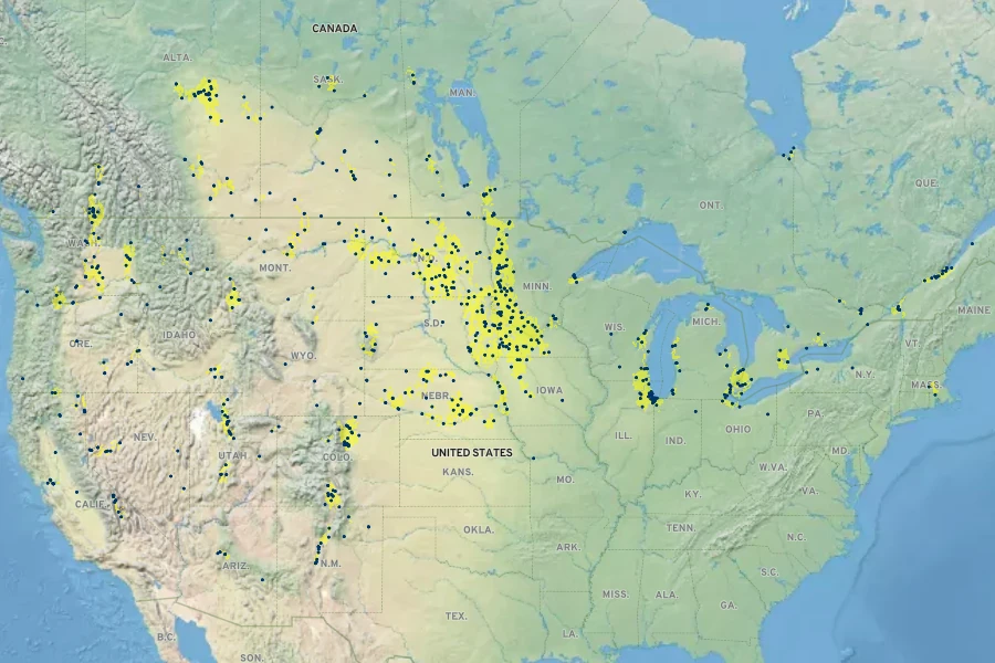Lycopus asper Native Range