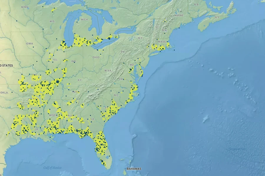 Lycopus rubellus Native Range