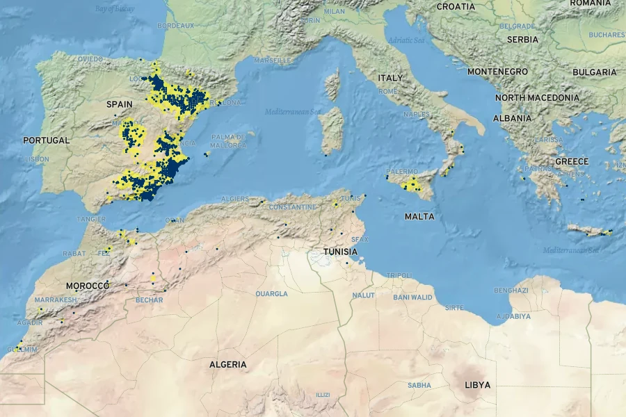 Lygeum spartum Native Range
