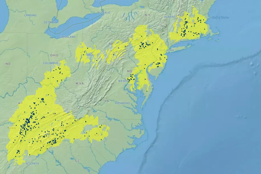 Lygodium palmatum Native Range