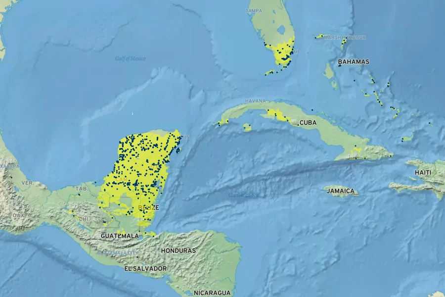 Lysiloma latisiliquum Native Range