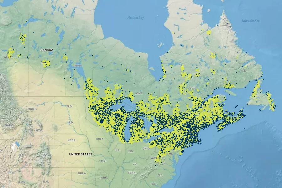 Lysimachia borealis Native Range