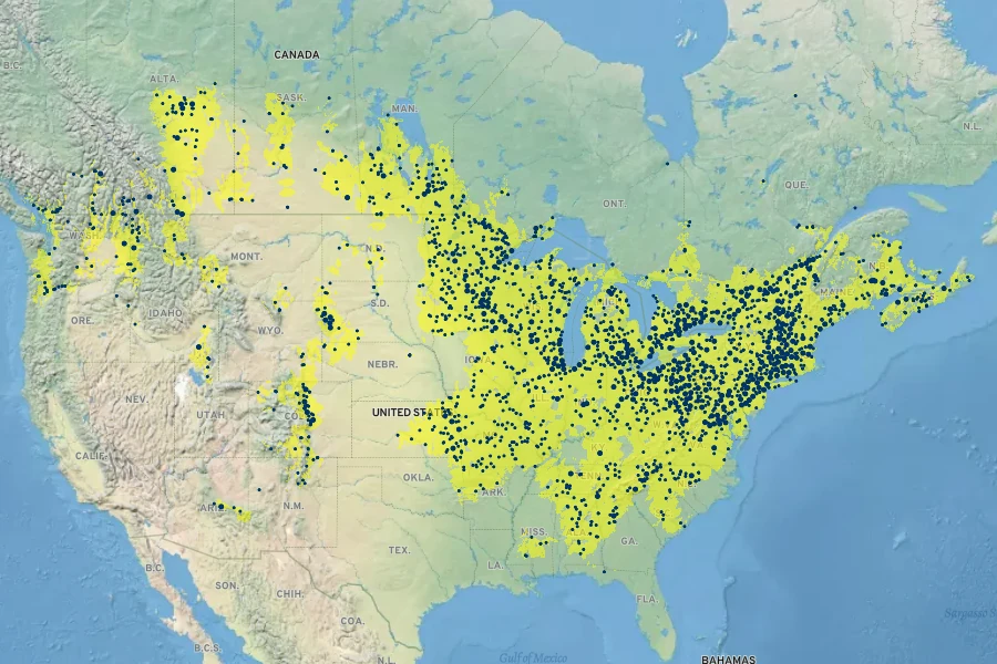 Lysimachia ciliata Native Range