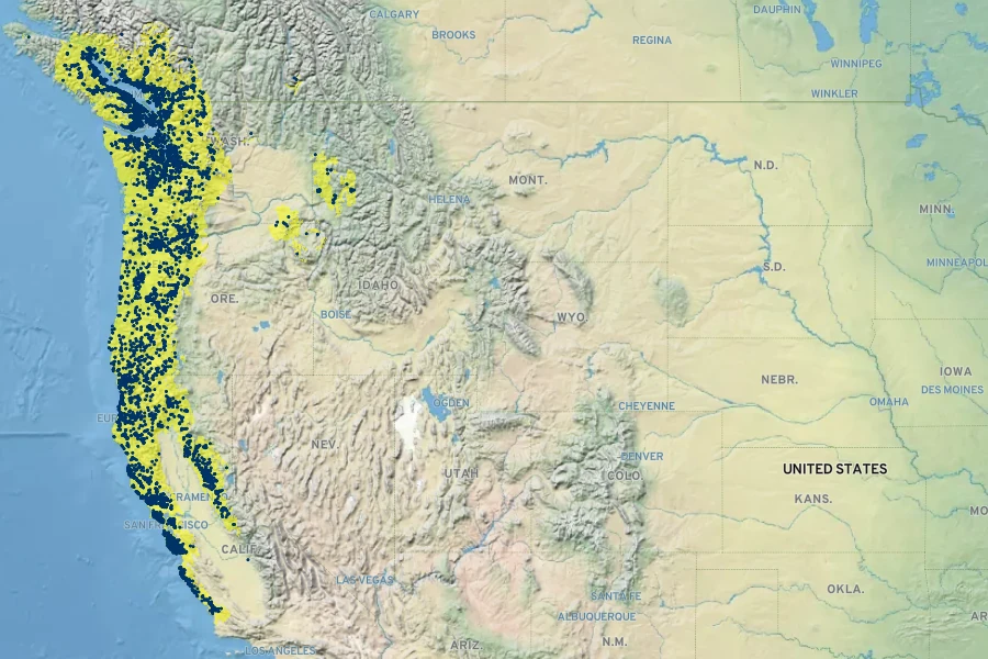 Lysimachia latifolia Native Range