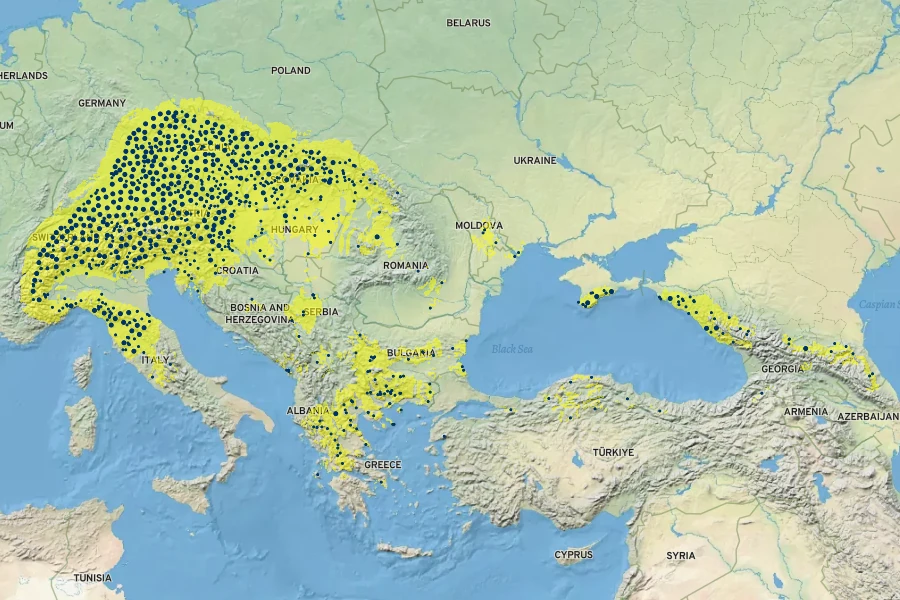 Lysimachia punctata Native Range