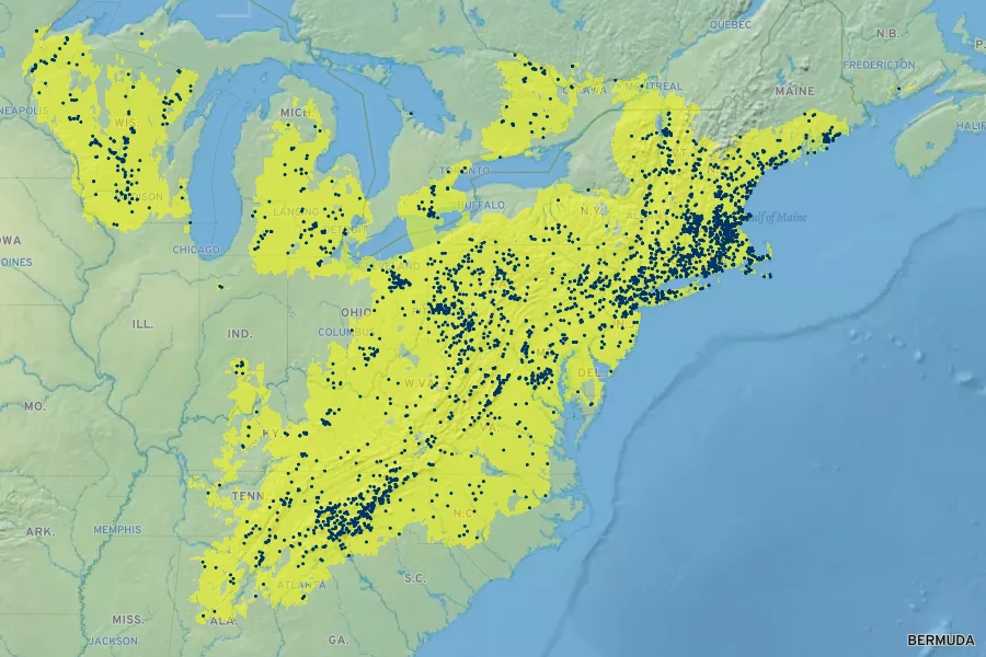 Lysimachia quadrifolia Native Range