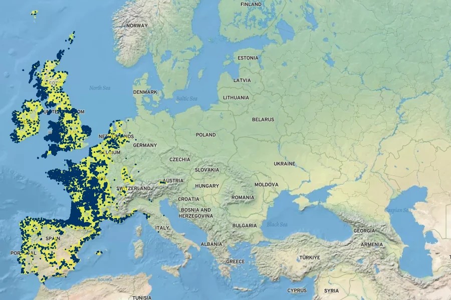 Lysimachia tenella Native Range