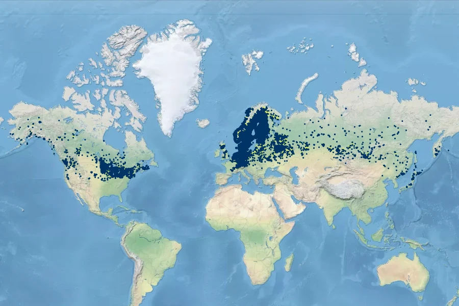 Lysimachia thyrsiflora Native Range