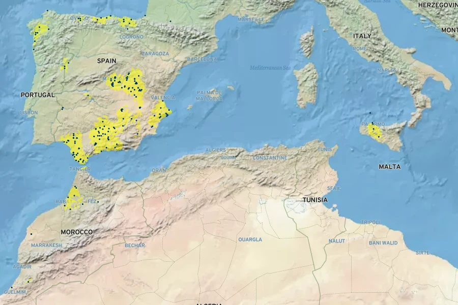 Lythrum acutangulum Native Range
