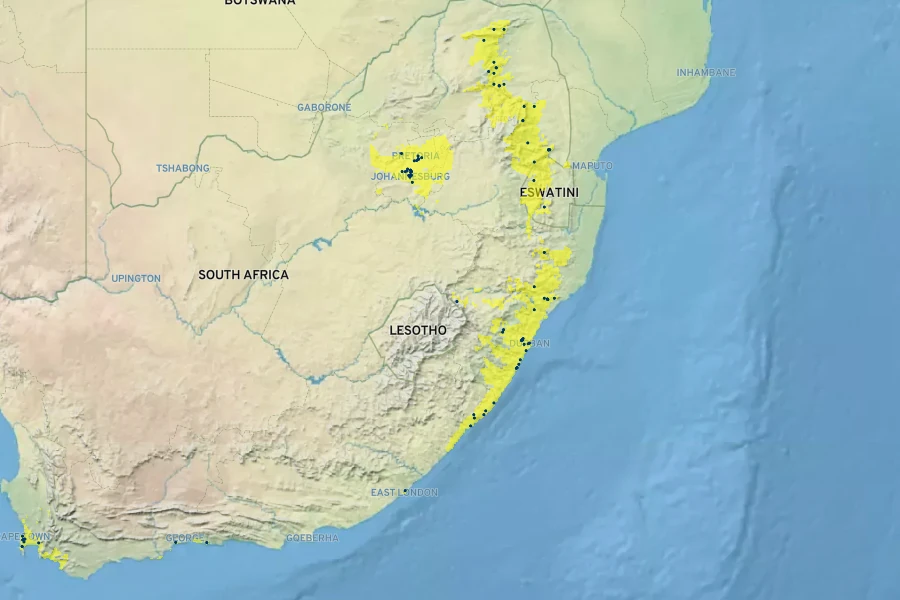 Mackaya bella Native Range