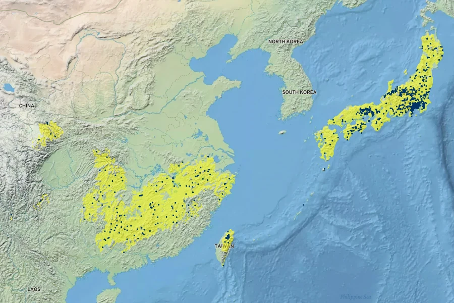 Macleaya cordata Native Range