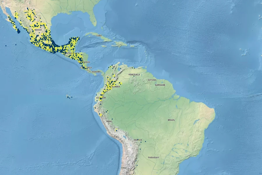 Macroptilium atropurpureum Native Range