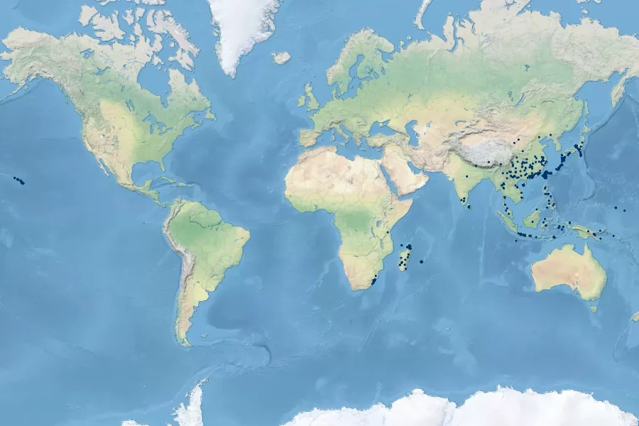 Macrothelypteris torresiana Native Range
