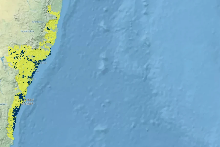 Macrozamia communis Native Range