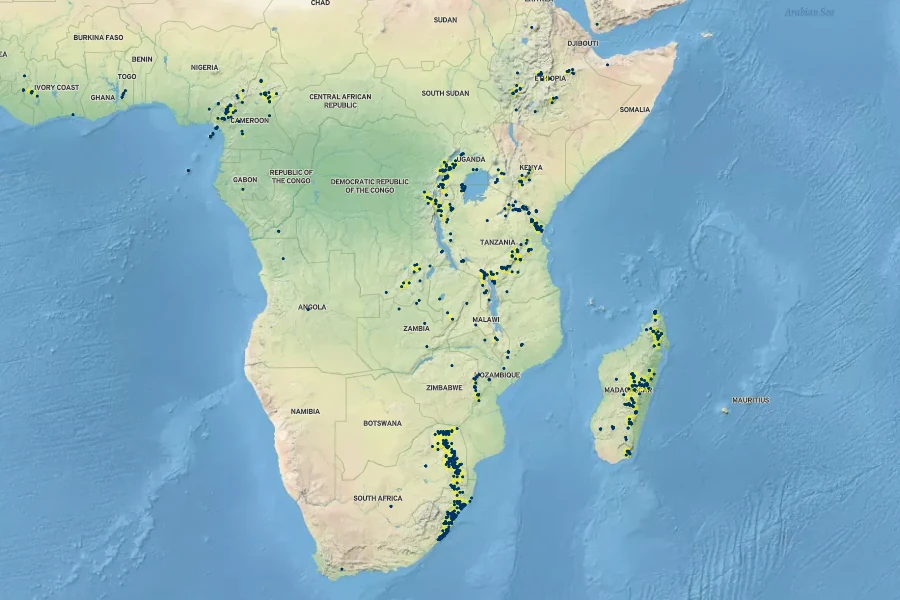 Maesa lanceolata Native Range